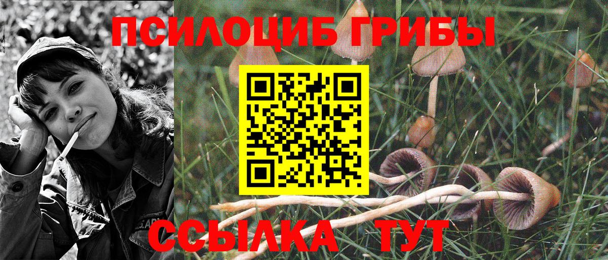 Псилоцибиновые грибы мицелий Нальчик